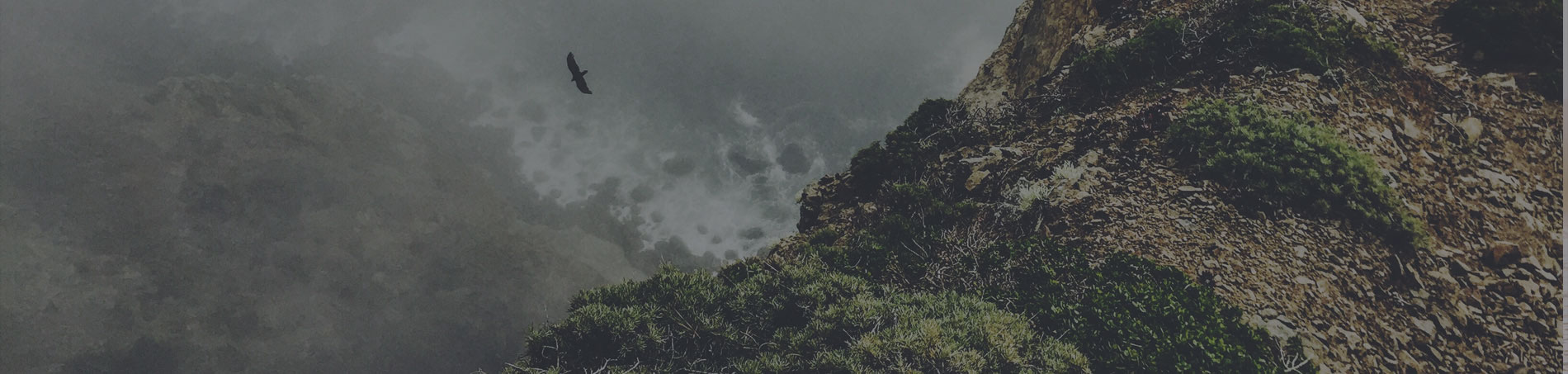 MĀJAS LAPU RISINĀJUMI